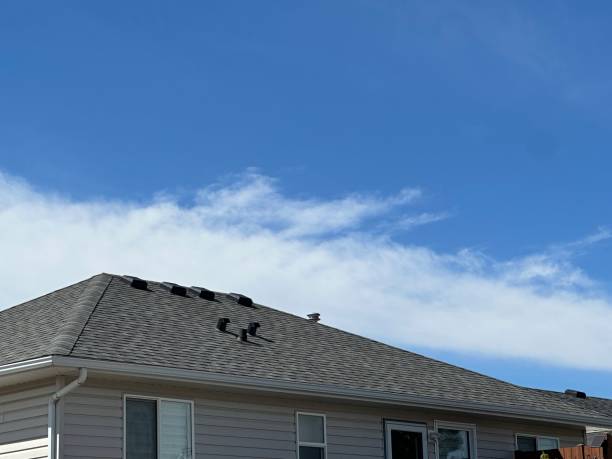 Best Cold Roofs  in Delta, OH