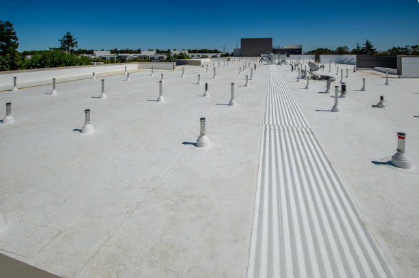 Best Roof Leak Repair  in Delta, OH